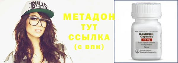 прущие грибы Бронницы