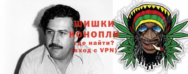 гашик Россошь