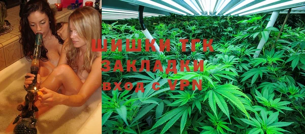 гашик Россошь