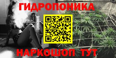 сатива Заводоуковск