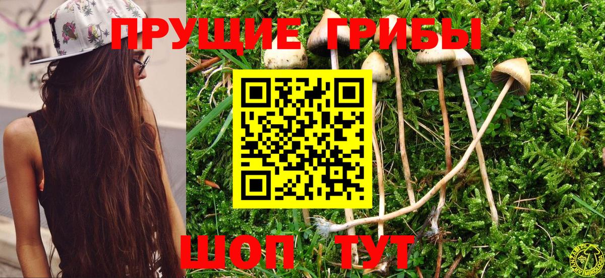 Псилоцибиновые грибы ЛСД Чапаевск