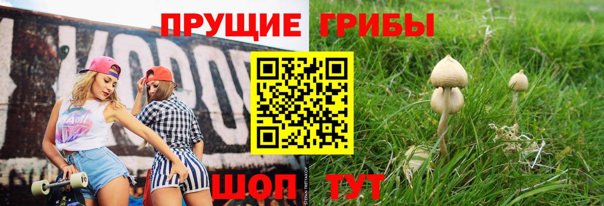 Псилоцибиновые грибы Cubensis  Вход с VPN  Чапаевск  Галлюциногенные грибы мухоморы 
